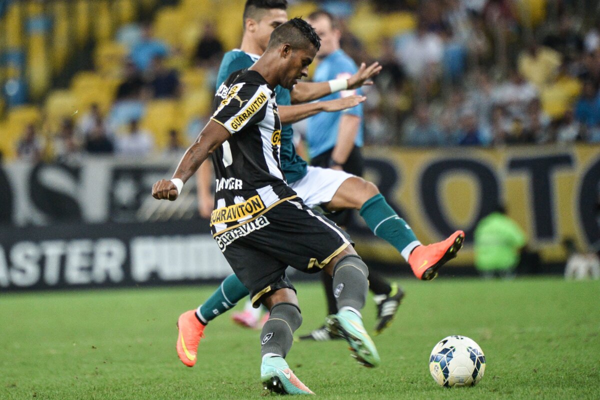 Dankler Botafogo Shutterstock